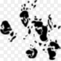 ����èD.C.�����¿�ѧ����ѧ������ѧ-��ѧ-������