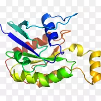 �����߶����������-������