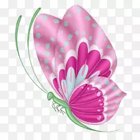 蝴蝶昆虫剪贴画-粉红蝴蝶-空若网 蝴蝶昆虫剪贴画-粉红蝴蝶-空若网