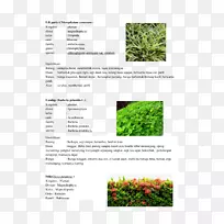 ������-������