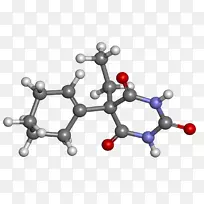 ��ѧ�����ֽ���鱦�����������-������