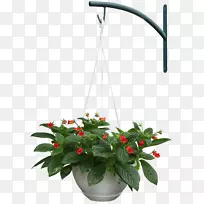 园林乔木-空若网 园林乔木-空若网