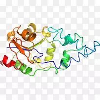 �ߵ������-��-������