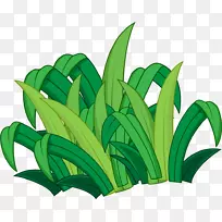 Â̲ÝË®ÉúÖ²Îï-Â̲Ý×°ÊÎ-¿ÕÈôÍø Â̲ÝË®ÉúÖ²Îï-Â̲Ý×°ÊÎ-¿ÕÈôÍø