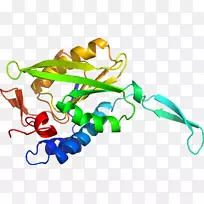 人体首饰有机体线剪贴画线-空若网 人体首饰有机体线剪贴画线-空若网