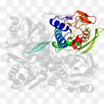 平面设计剪贴画.设计-空若网 平面设计剪贴画.设计-空若网