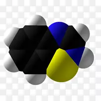 �����ֽ�������-������