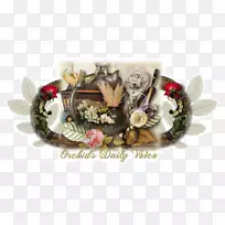 食物-空若网 食物-空若网