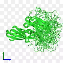 ����������-������