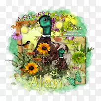 花卉设计-空若网 花卉设计-空若网