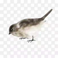 我的糖果爱情别针鸟螺丝嘴销-空若网 我的糖果爱情别针鸟螺丝嘴销-空若网