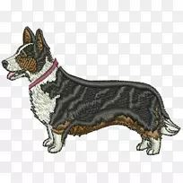 澳洲牛犬培育博斯卡普-威尔士犬-空若网 澳洲牛犬培育博斯卡普-威尔士犬-空若网