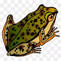 ��ܲ��ͼ�����-������