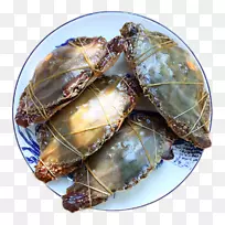 花蟹三尾蟹食天猫-花池蟹-空若网 花蟹三尾蟹食天猫-花池蟹-空若网