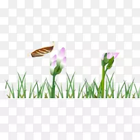 ÏÂÔØ±ÚÖ½-²Ý-¿ÕÈôÍø ÏÂÔØ±ÚÖ½-²Ý-¿ÕÈôÍø