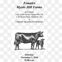 安格斯牛,肉牛,牛犊,赫里福德牛,澳大利亚-空若网 安格斯牛,肉牛,牛犊,赫里福德牛,澳大利亚-空若网