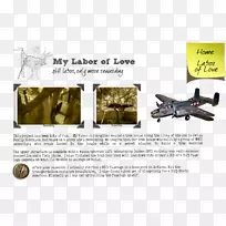 �ɻ�Ʒ�ƹ��.�ɻ�-������