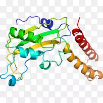 生物线动物剪贴画线-空若网 生物线动物剪贴画线-空若网