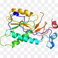 �ߵ������������-������