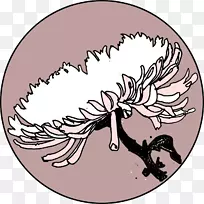 ¿¨Í¨¿ª»¨Ö²Îï¼ôÌù»-¿ÕÈôÍø ¿¨Í¨¿ª»¨Ö²Îï¼ôÌù»-¿ÕÈôÍø