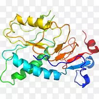 �ߵ������������-������