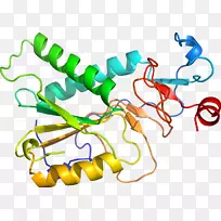 线点生物剪贴画线-空若网 线点生物剪贴画线-空若网