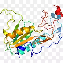 �ߵ������-��-������