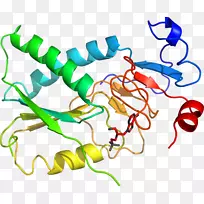 �ߵ������������-������