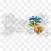 食用树剪贴画-树-空若网 食用树剪贴画-树-空若网