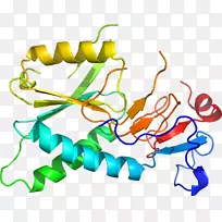 线点生物剪贴画线-空若网 线点生物剪贴画线-空若网