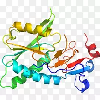 线点剪贴画-线-空若网 线点剪贴画-线-空若网