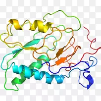 线点生物剪贴画线-空若网 线点生物剪贴画线-空若网