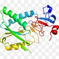 线点生物剪贴画线-空若网 线点生物剪贴画线-空若网