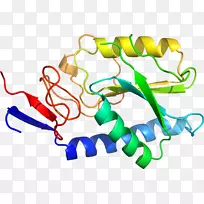 �ߵ������-��-������