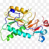 线点生物剪贴画线-空若网 线点生物剪贴画线-空若网