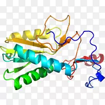 人体首饰有机体线剪贴画线-空若网 人体首饰有机体线剪贴画线-空若网