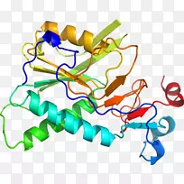 线点生物剪贴画线-空若网 线点生物剪贴画线-空若网