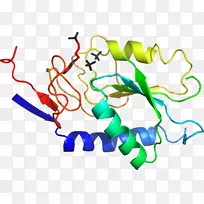 线点生物剪贴画线-空若网 线点生物剪贴画线-空若网