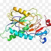 线点生物剪贴画线-空若网 线点生物剪贴画线-空若网