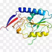 �ߵ������������-������