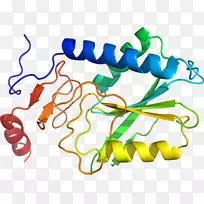 �ߵ������������-������