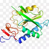 线点生物剪贴画线-空若网 线点生物剪贴画线-空若网
