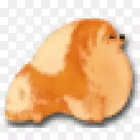 鼻子特写-空若网 鼻子特写-空若网