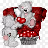 ��èӵ������-��-������