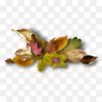 博客日记花瓣动画-空若网 博客日记花瓣动画-空若网