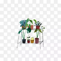 Ë®²Ê»³§Ë®²Ê»³§-¿ÕÈôÍø Ë®²Ê»³§Ë®²Ê»³§-¿ÕÈôÍø