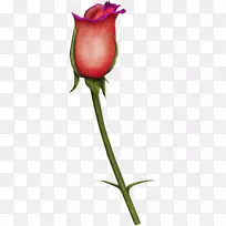 ��԰õ���л�ʥ��ֲ���������õ��-������