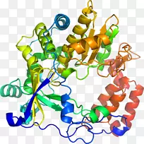 艺术身体珠宝有机体线剪贴画线-空若网 艺术身体珠宝有机体线剪贴画线-空若网