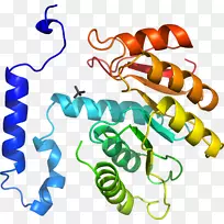 人体首饰有机体线剪贴画线-空若网 人体首饰有机体线剪贴画线-空若网