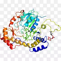 �ߵ������������-������